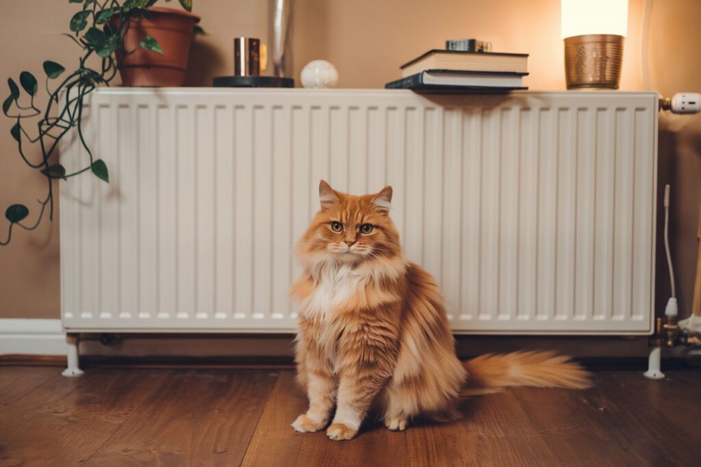 Sezon grzewczy – zadbaj o swojego zwierzaka